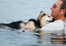 A Touching Act of Love: Owner Takes Paralyzed Dog Swimming for a Blissful Slumber!