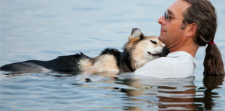 A Touching Act of Love: Owner Takes Paralyzed Dog Swimming for a Blissful Slumber!