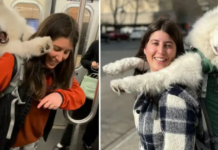 Breaking Barriers: Watch as Fearless Woman Carries Her 52-Pound Dog in a Backpack, Outsmarting NYC Subway Rules!