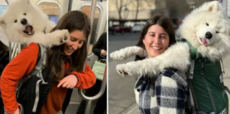 Breaking Barriers: Watch as Fearless Woman Carries Her 52-Pound Dog in a Backpack, Outsmarting NYC Subway Rules!