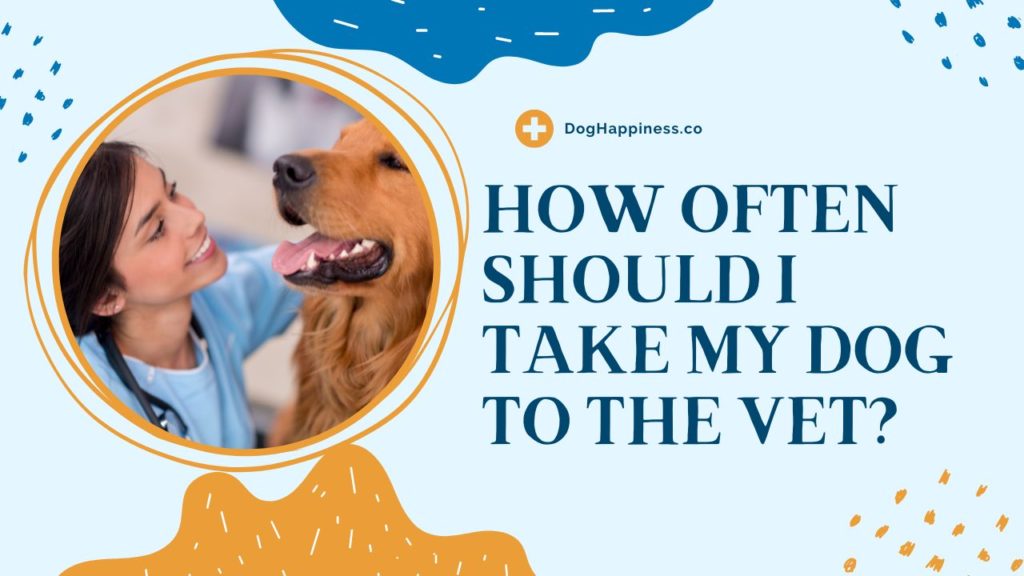 How Often Should I Take My Dog to the Vet