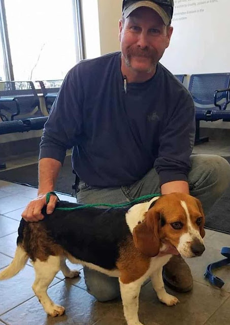 Touching Moment Man saves Beagle from euthan.asia at Shelter Thanks him with a Hug 5 1