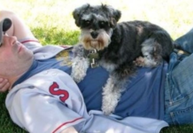 A man’s extreme dedication to his dog leads him to cash out his 401K to cover the surgery costs