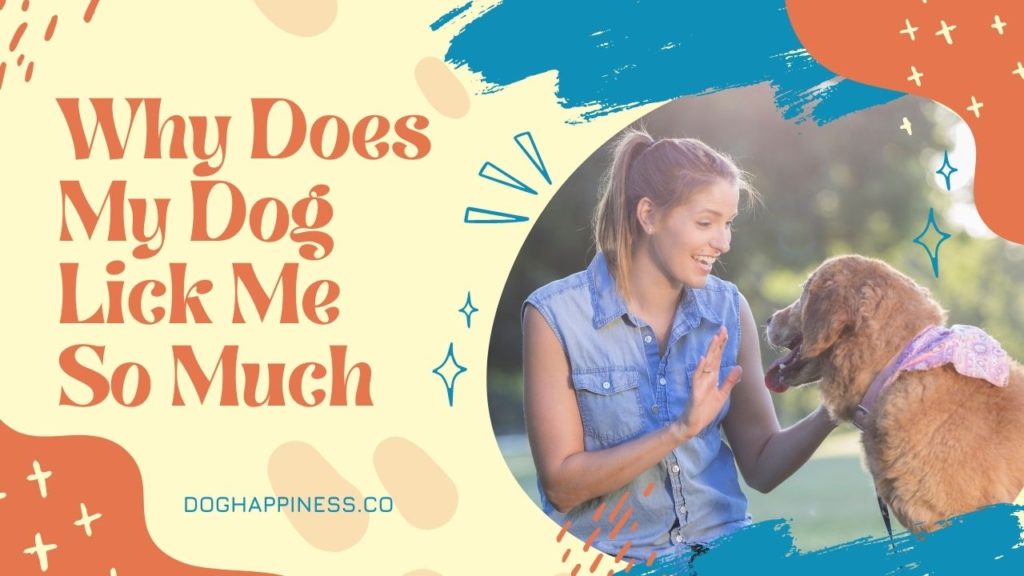 Why Does My Dog Lick Me So Much? Understanding Canine Behavior and Bonding 2 Why Does My Dog Lick Me So Much