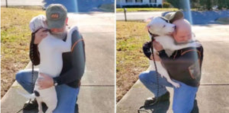 Pitbull Who Has Just Been Adopted Is Joyful To Have A Family!