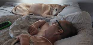 Veteran and his loyal Dog p.a.ss away within hours of each other.💖