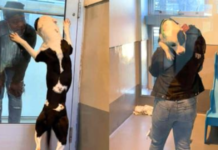 A dog at a shelter had the best reaction when he was reunited with his family he had believed he had lost them forever (VIDEO).