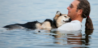 Owner Swims a Paralyzed Dog 20 Years Old So He Can Sleep
