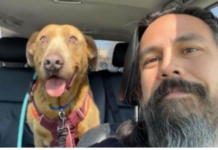After four years, a man who vowed to never give up looking for his lost dog finally does so.