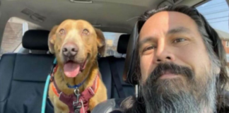 After four years, a man who vowed to never give up looking for his lost dog finally does so.