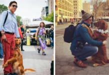 Meet Louboutina, a Golden Retriever that almost greets everyone with a hug.
