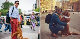 Meet Louboutina, a Golden Retriever that almost greets everyone with a hug.