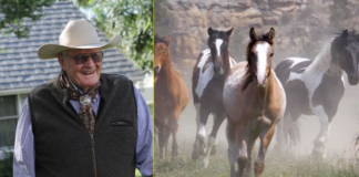 COWBOY’S EPIC GIFT: 11,000 ACRES RESERVED FOR WILD MUSTANG HORSE SANCTUARY!