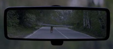 The Loyal Dog Return To Save Its Owner even abandoned 3 image 100
