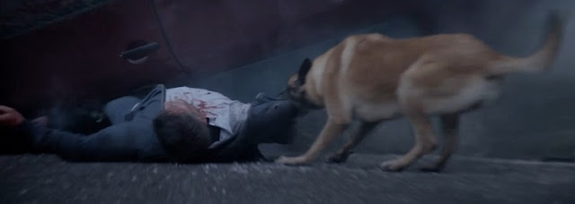 The Loyal Dog Return To Save Its Owner even abandoned 4 image 101
