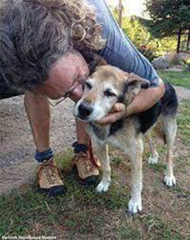 Owner Swims a Paralyzed Dog 20 Years Old So He Can Sleep 1 owner