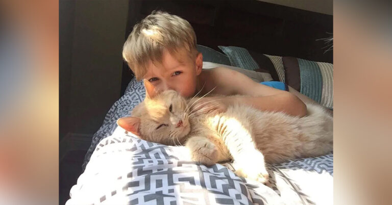 A little boy chooses a 10-year-old XL ginger cat, when Offered Any Animal In The Shelter! 2 image 213