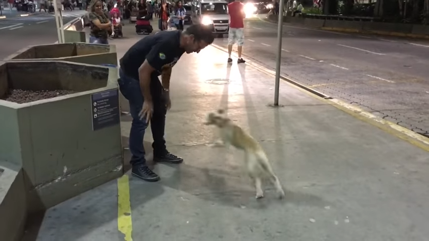image 228