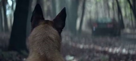 The Loyal Dog Return To Save Its Owner even abandoned 2 image 99