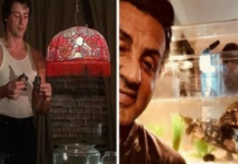 Rocky’s Pet Turtles: A Timeless Story of Friendship and Legacy with Sylvester Stallone