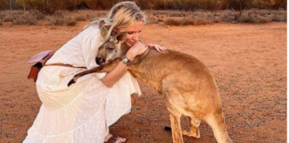 The Kangaroo Expresses Gratitude for Saving Her Life and Affection For the People Who Did It.