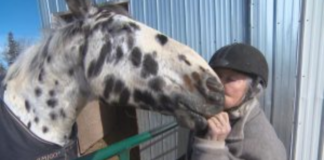 Meet Judy Hubert, age 83, and Her Champion Appaloosa Horse, Leonard.