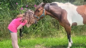 AFTER BEING "LEFT TO DIE," THE HORSE IS NOW A CHAMPION SHOW HORSE 4 image 24