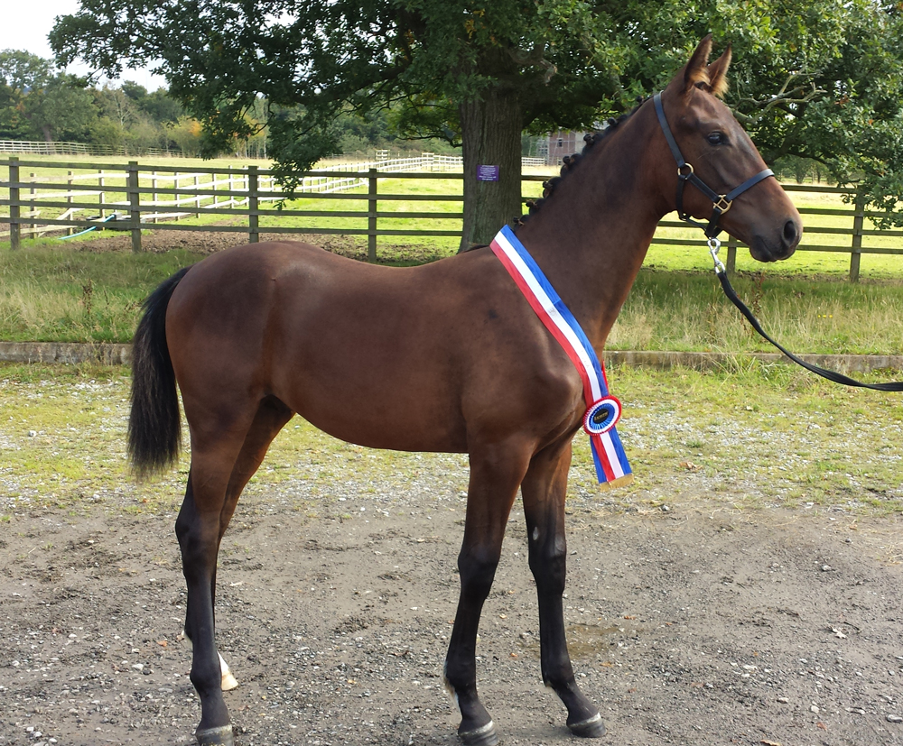 King Leatherdale