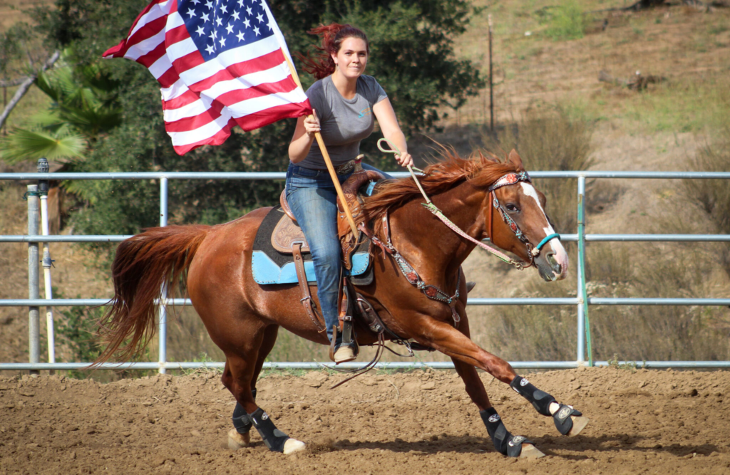 The Mighty American Quarter Horse