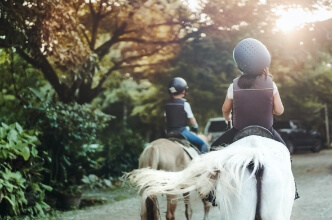 Humans and Horses