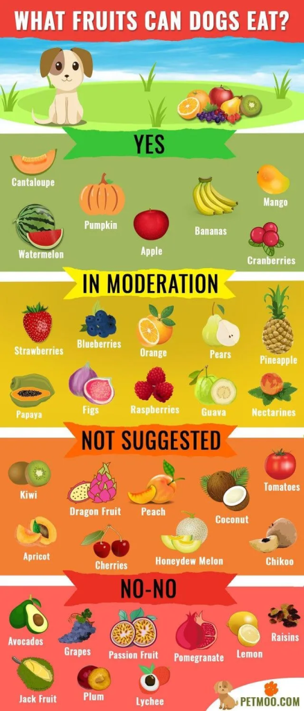 Fruits and Vegetables for Dogs