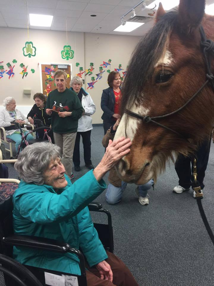 Neigh-Neigh