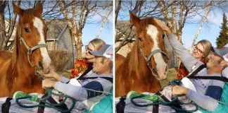 A Heartfelt Farewell: Cowboy Reunites with Beloved Horse Before Passing Away