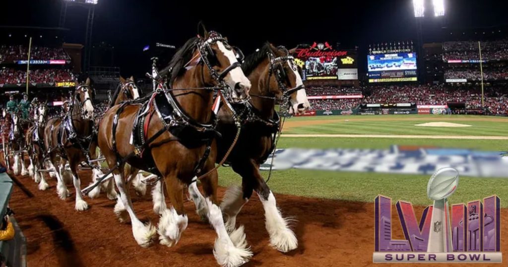 Iconic Budweiser's Heartwarming Super Bowl 58 Commercial Brings Back Beloved Clydesdales and Labrador Duo 3 5 2024 02 10T201123.061 1