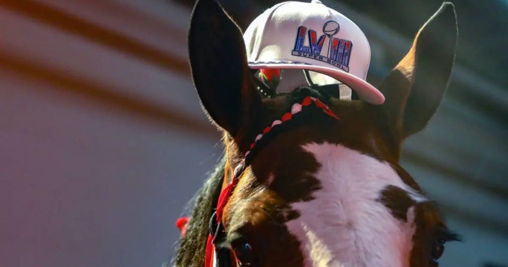 Iconic Budweiser's Heartwarming Super Bowl 58 Commercial Brings Back Beloved Clydesdales and Labrador Duo 2 5 2024 02 11T123920.769 1