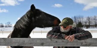 Epic Tale: The Inspirational Journey of a 40-Year-Old Horse and His Devoted 58-Year-Old Caretaker (Video)