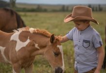 Miracle Unleashed: 12-Year-Old Boy Cares For Foal In Need Of Life-Saving Surgery