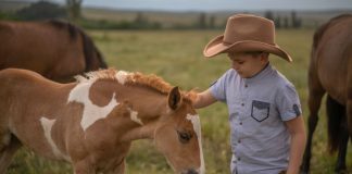 Miracle Unleashed: 12-Year-Old Boy Cares For Foal In Need Of Life-Saving Surgery