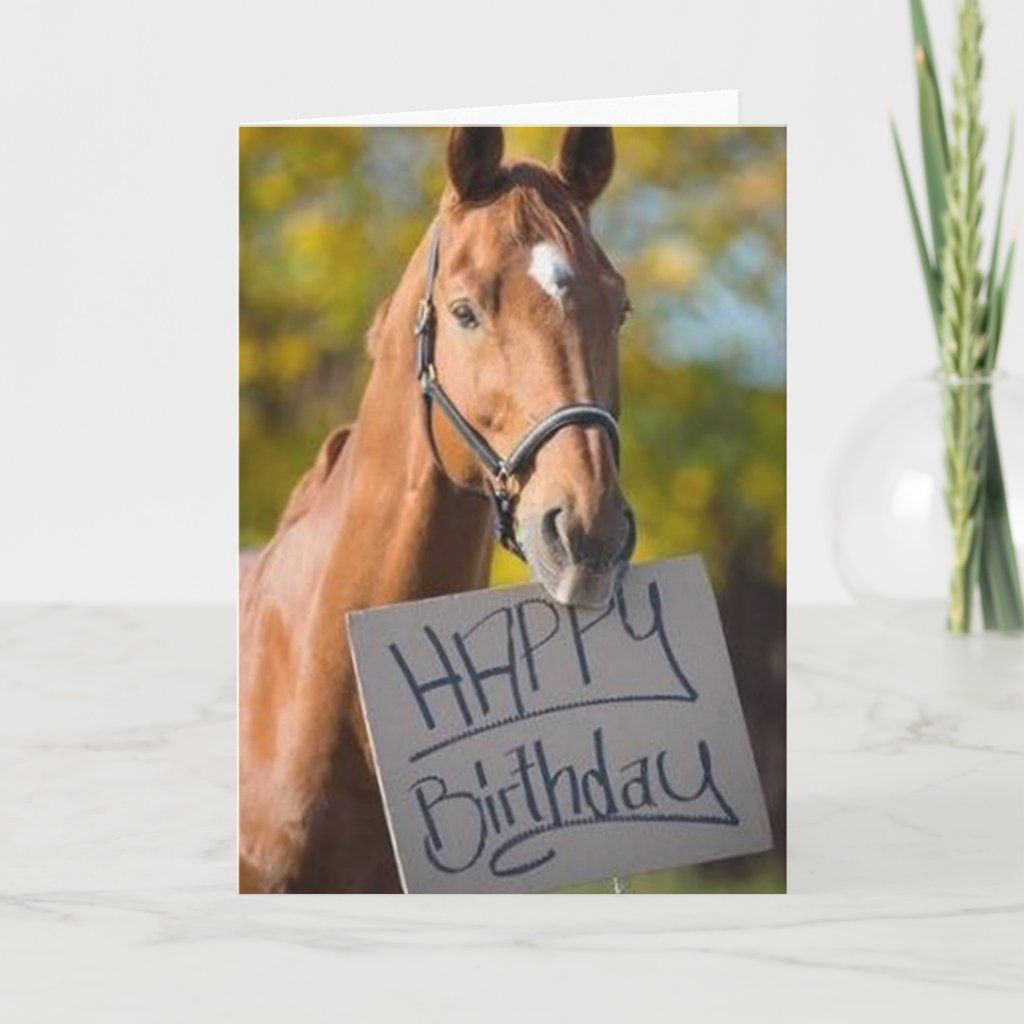 Beloved Horse Whiskey: A Legacy of Spunk and Love 4 image 10