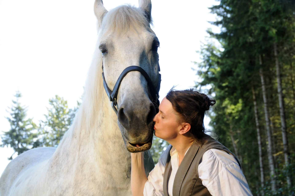 Unveiling the Majestic Percherons: A Chronicle of Power, History, and Grace 2 image 12