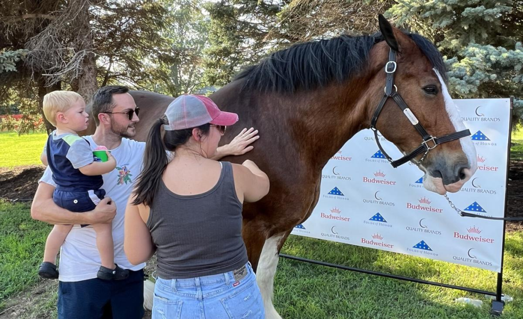 Gretna Days: Navigating Joy and Controversy with Budweiser Clydesdale's Arrival 2 image 123