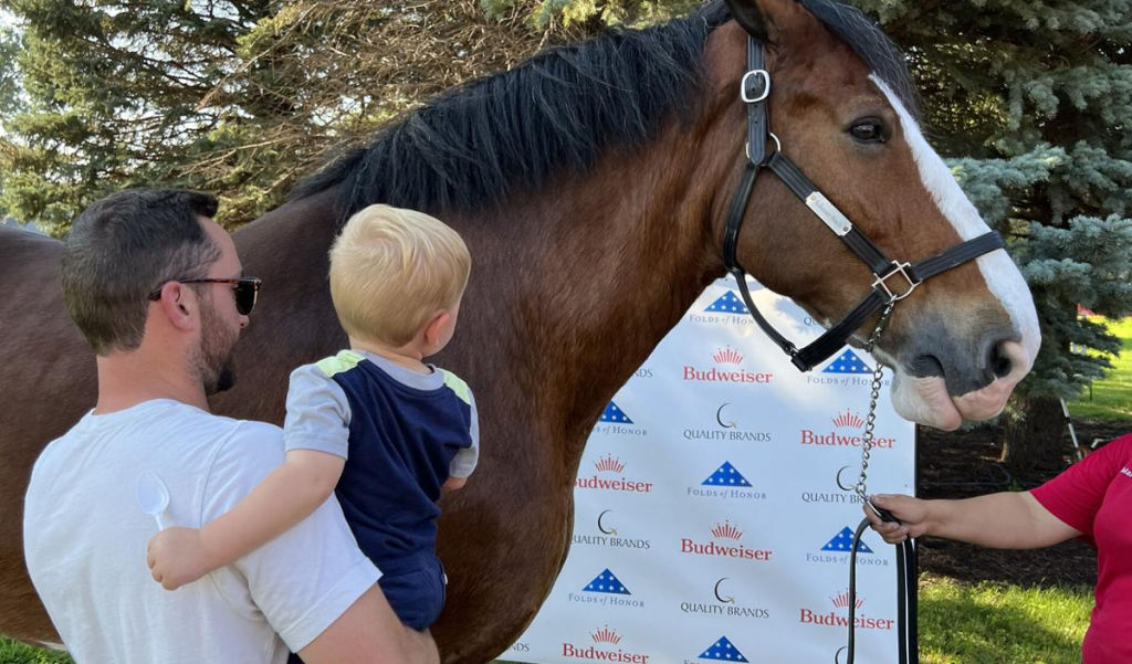 Gretna Days: Navigating Joy and Controversy with Budweiser Clydesdale's Arrival 3 image 124