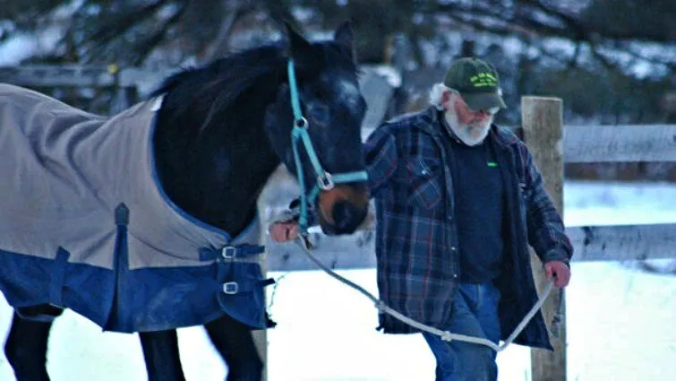 Epic Tale: The Inspirational Journey of a 40-Year-Old Horse and His Devoted 58-Year-Old Caretaker (Video) 1 image 145