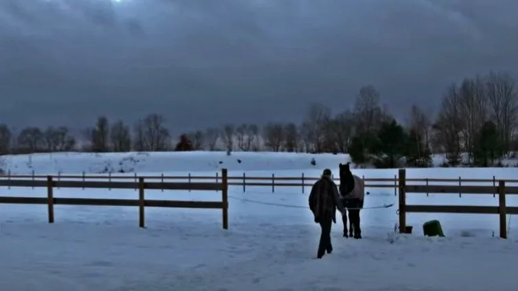 Epic Tale: The Inspirational Journey of a 40-Year-Old Horse and His Devoted 58-Year-Old Caretaker (Video) 2 image 146