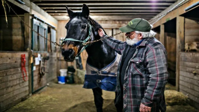 Epic Tale: The Inspirational Journey of a 40-Year-Old Horse and His Devoted 58-Year-Old Caretaker (Video) 4 image 148
