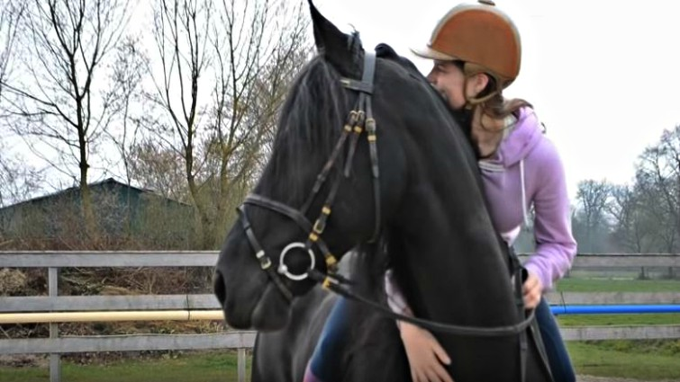 Friesian Fairytale: The Heartwarming Reunion of Amber and Seille 5 Friesian horse