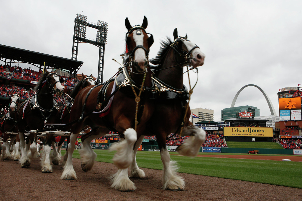 Budweiser Clydesdales Super Bowl 2024 Commercial: An Iconic Return 1 image 35