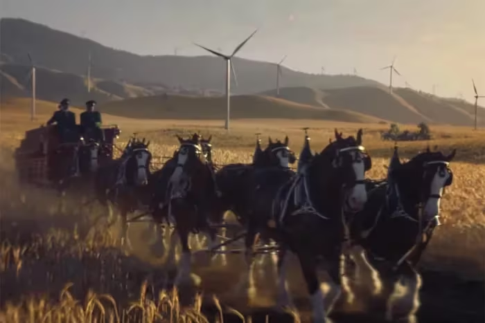 Budweiser Clydesdales Super Bowl 2024 Commercial: An Iconic Return 3 image 36