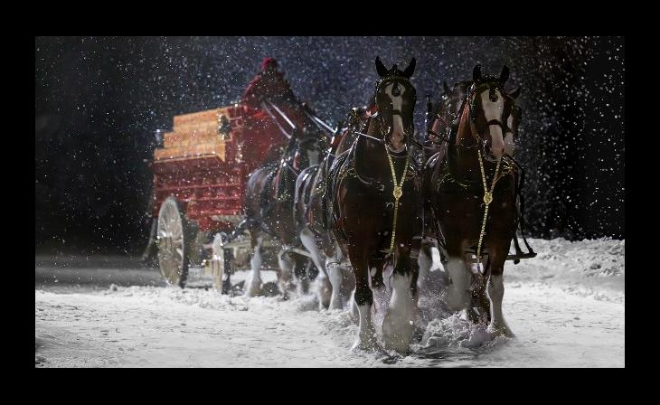 Budweiser's Clydesdales Return: A Legendary Comeback to Super Bowl Glory(2024) 2 image 42