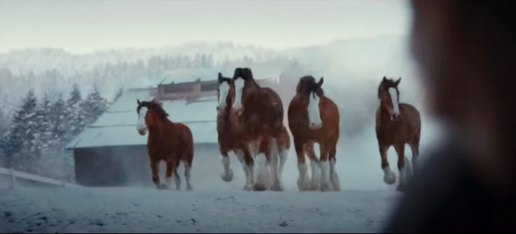 Iconic Budweiser Clydesdale's Epic Return to the Big Screen 2024 3 image 53